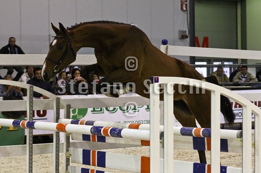 NADA BRAUN_MILANO_2010_SS3_1548.jpg